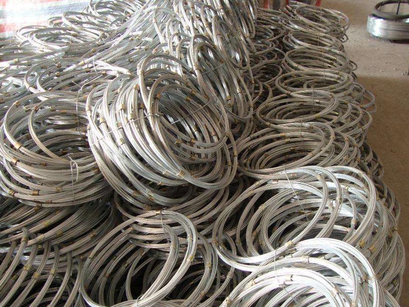 國標(biāo)環(huán)形網(wǎng)對比